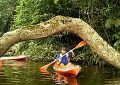Heryus Saputro - Kayaking ala Amazon