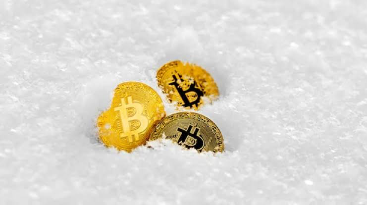 Crypto Winter Memakan Banyak Korban