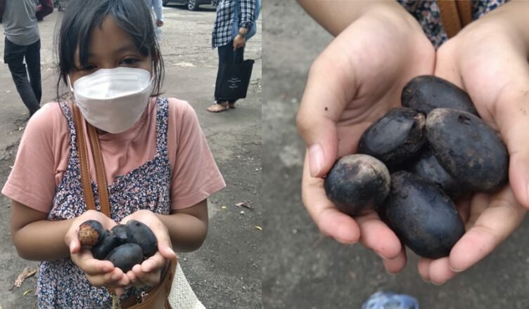 Anayya cucu keponakan dan kanari hasil pungutannya foto Heryus Saputro Samhudi